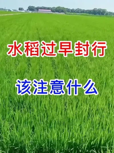 ˮעʲô #ũҵݪֲ #ͷһ #ˮݪֲ #ղӲԭ #һݸһջ