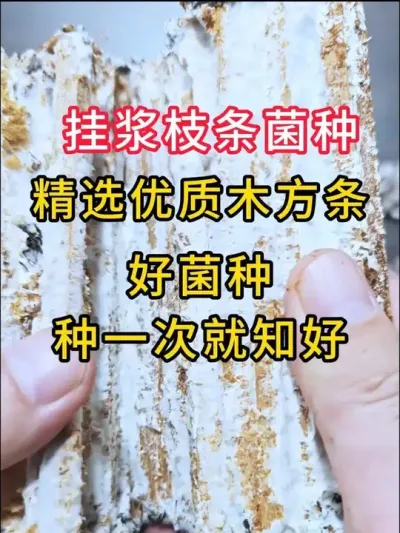 þһξ֪ƽҽ֦ѡľӪ˿ʵ#ƽݪֲ #ƽ #ʳþݪֲ #ݪֲ