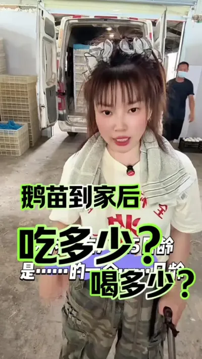 ����ּҺ����Լ������ȼ�����#ũ�崴ҵ��ֳ #������#��������