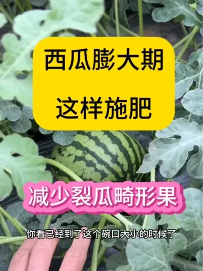 #抖音助农在行动 #三农种植 #抖音助力三农