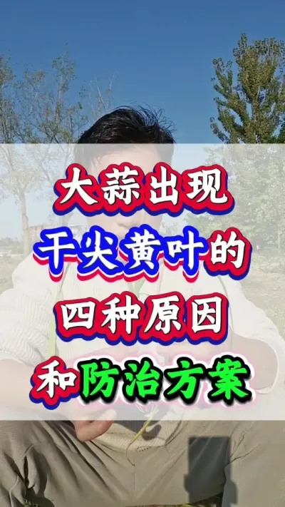 ⷺɼҶԵԭɺͷμƻ#ݪֲ #߲ #ִ #Ƥ #