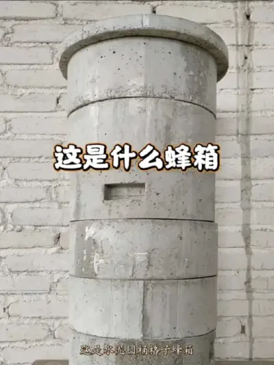 ���� �������ù��ļ��ַ�������ϲ����һ����#���� #�ҵ���������  #��ũ������2025