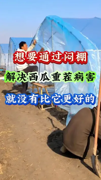 ݪֲ Ҫͨز粡ûбõ#ݪֲ #Ϲ #ϸ߲ #