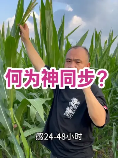 ͬ ڷ۷Ϊһͬ۶ڼ˿ڶͬ 3 ڼ˿ 4 켰Ժ˿#ũҵݪֲ