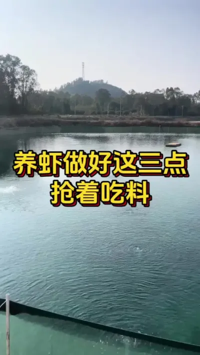 养虾做好这三点，虾抢着吃料#水产养殖 #南美白对虾 #水产人 #嘉骏集团 #嘉骏新水产