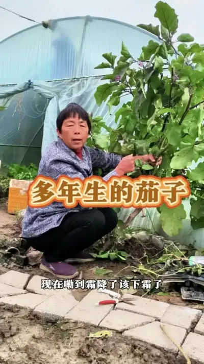 ʶ#ũ # #߲ #ݪֲС @С @DOU+С @DOU+