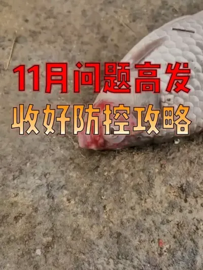 11ֲ3 ֳ + ʽæѧ#  #  #ˮֳ  #Դ  #޿