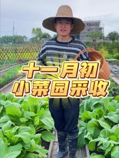 ʮһ³ҵС԰~ #ݪֲС #ֲ #ҵС԰ #ԼֵĴȻɫ߲ #ͥݪֲ