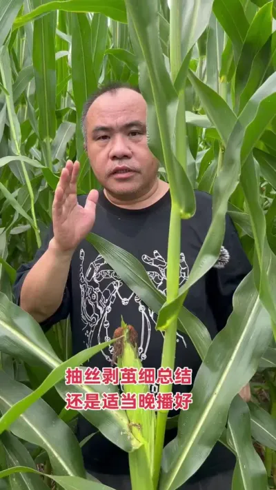 ͬƷ粥ʵʵã         ΰͺҶ溦ǧССƫ粥Σ          ʵݼ