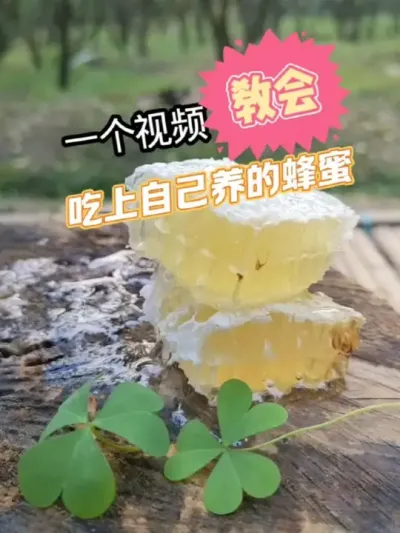 ÷ һƵעȷԵԼķ#۷ֳ #ҵ  #ũ2025