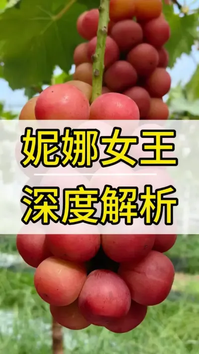 Ů  #ݪֲ #õ #Ȼʺ  #ũ #ݪֲ