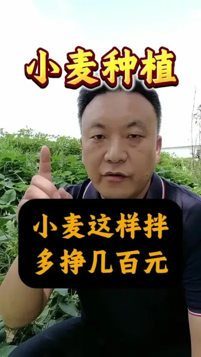 ְһԪ#Сּ #Сݪֲ #С