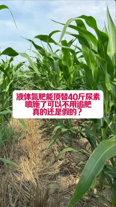 Ҷȡ #ũ #ݪֲС #עũҵ֪ʶ #ũҵݪֲ