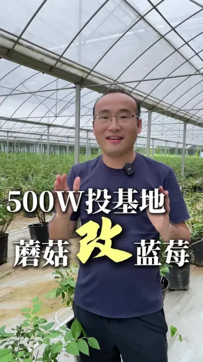 #ˮһ廯 #Ƽũ #ʩũҵ #ݮϵͳ Ͷˮһ廯ʵݮЧİٱ