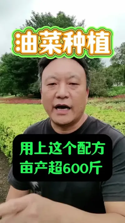 ䷽Ķ600ﲻ⣡#Ͳݪֲ #Ͳ˹