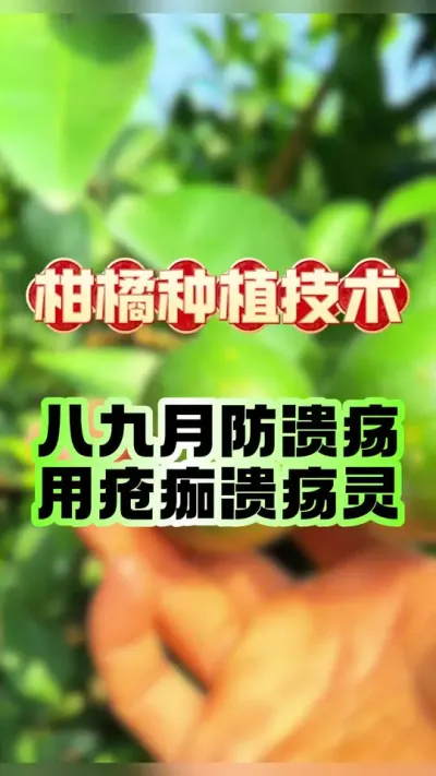 ±Ƶ񻹵ÿ#ݪֲ # #ٹ #ٲ #ũҵݪֲ