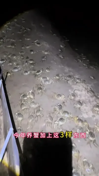 ззֻֻ#зֳ #Ϻзֳ #зֳ #բзֳ #ũ @DOU+ @DOU+С