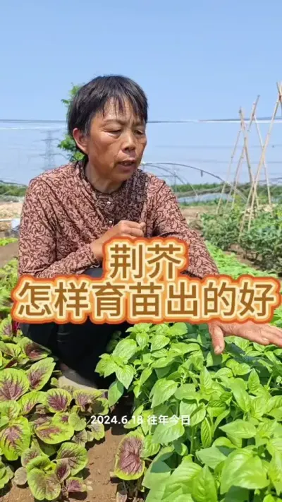 ������ô������Ŀ�#��ũ #���� #ݪֲС���� #�߲����� #�߲�ݪֲ @DOU+������ @��������С���� @DOU+С����