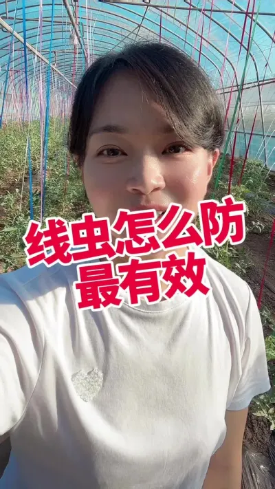 #ݪֲ#ݪֲ#߳#ά#߾ ע ໥ѧϰ @С