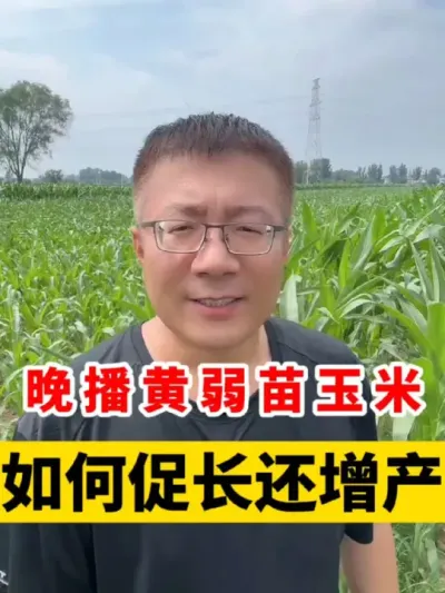 ׻ٳ #ݪֲ #ݪֲ #ݪֲ #׸߲ #׸߲ݪֲ