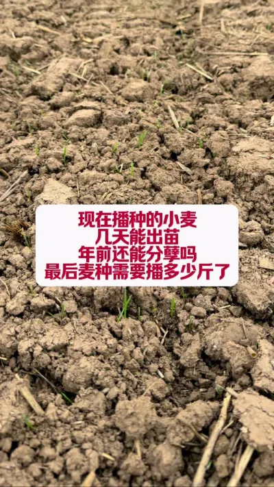 СǰܷҪ #ũҵݪֲ #ũ #ũҵݪֲ #ũ֧ũ