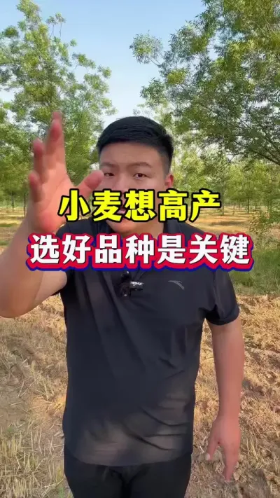 ѡһõֺҪ #Сݪֲ #С߲Ʒ #ֲ6