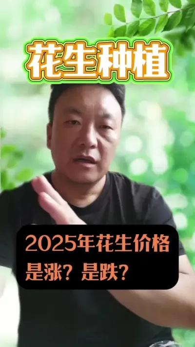 2025��Ļ�����Ǯ�����ǵ���#����ݪֲ #������Ǯ����