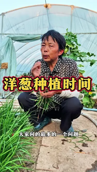 ݪֲʱ# #ũ #߲ #ݪֲС #ݪֲ @С @DOU+С @DOU+