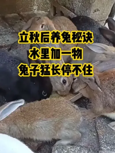 ˮһͳס#ũ#ֳ#