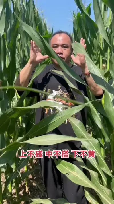 ཬкڶҶҪϲҲвҶ²Ҷ벻˳ɸ߲