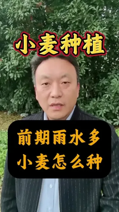 ǰˮСӦô#Сݪֲ #С