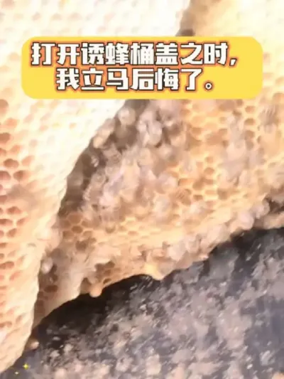 #ũ # #շ# ҷշͰ֮ʱҾͺ@С @DOU+С