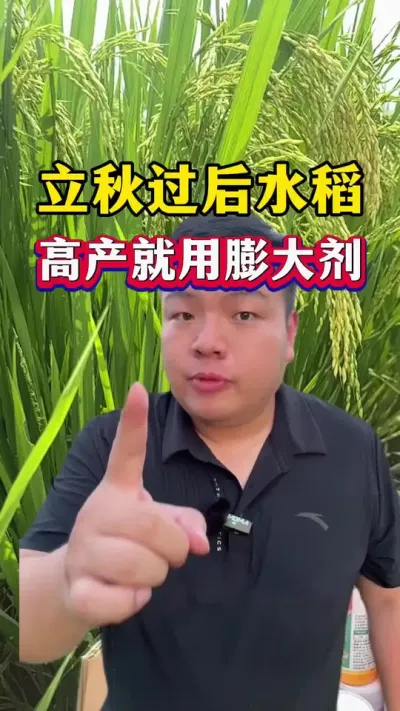 ˮ߲º #ˮݪֲ #ˮ #Сƿ #ũҵݪֲ