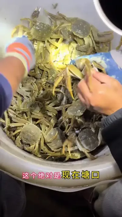 㸲ֳ֪#зֳ #Ϻзֳ #зֳ #բзֳ #ũ @DOU+ @DOU+С