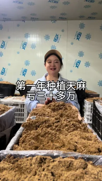 ��һ�������������ʮ���� #ҩ��ݪֲ #ݪֲ���� #������ũ @����С����