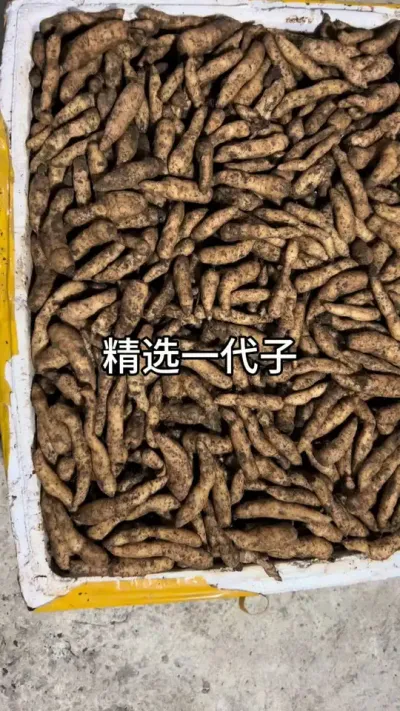 ѡһ #ݪֲ #ũ #շ@DOU+С