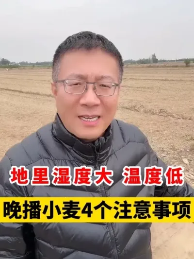 ʪȴ¶ȵС4ע #Сݪֲ #С #Сݪֲ #С߲ #ũҵݪֲ @̷ũʣ