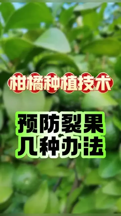 Ԥѹļ㽨 #ݪֲ #ٹ #ѹ #ũ #ũ