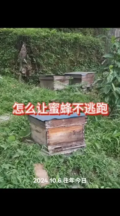 ô۷䲻#ũ #ũ #۽