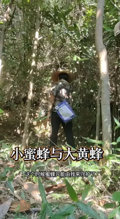 С۷Ʒ С۷ʹƷͬΪҲʳĹϵƷץС۷#۷ #ҵ #ũ2025