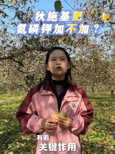 ׼ʩ վɲ#ѧũ ##ũ #ʩ #ũ