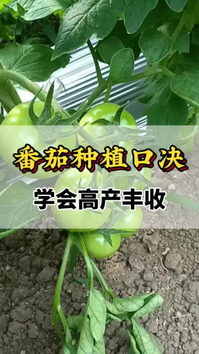 ݪֲھѧ߲#ũݪֲ #ݪֲ #ݪֲ֪ʶ