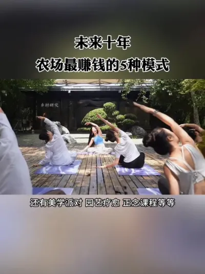 δʮũ׬Ǯ5ģʽ#ũ #ũҵ #ũׯ