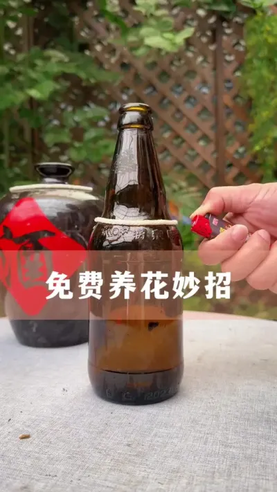 ʡǮЩ#ֲ #С֪ʶ #İ