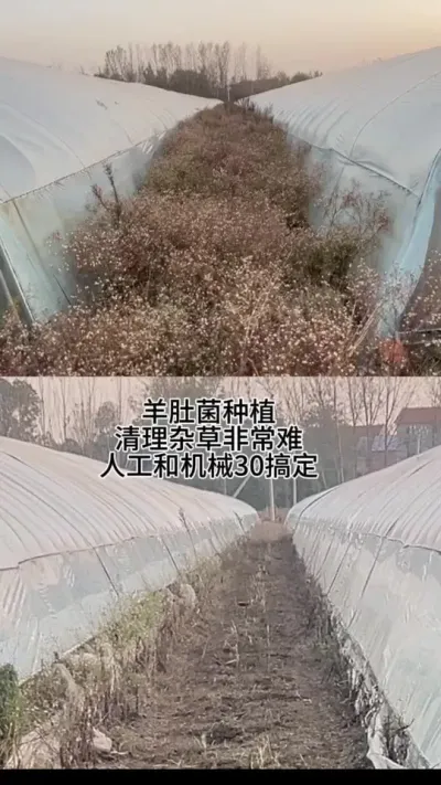 ǾݪֲӲѴóͷر˹Ǯ͵Ķ ݪֲǾһҪѧƱǮ#Ǿ#Ǿݪֲ #Ǿݪֲ # #