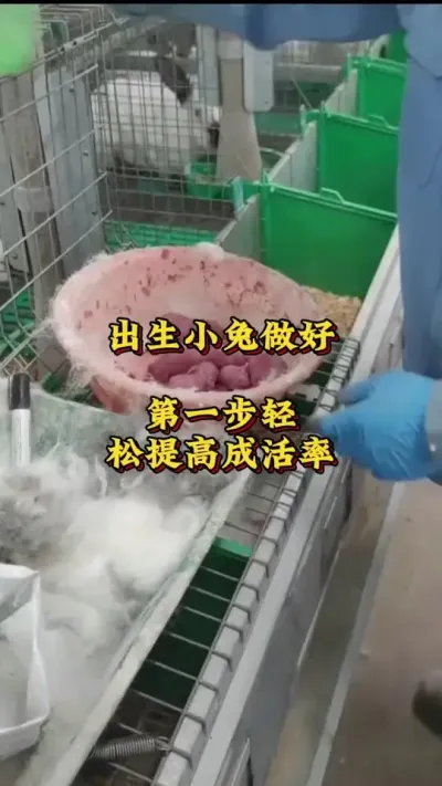 Сһ߳ɻ # # #ֳ #շ