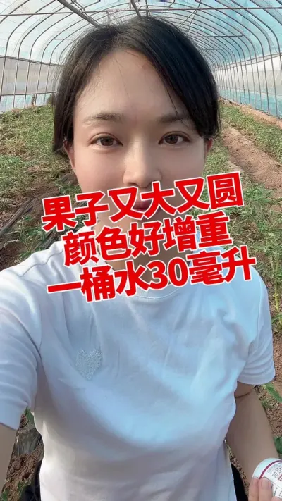 #ݪֲ###תɫ  #ݪֲ СƳµ һƿ9.9@С