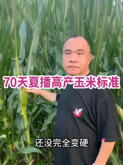 70 Ĳ߲ױ׼ ̡ͨ޲ߡ޳ȾҶͦ վ…#ũҵݪֲ