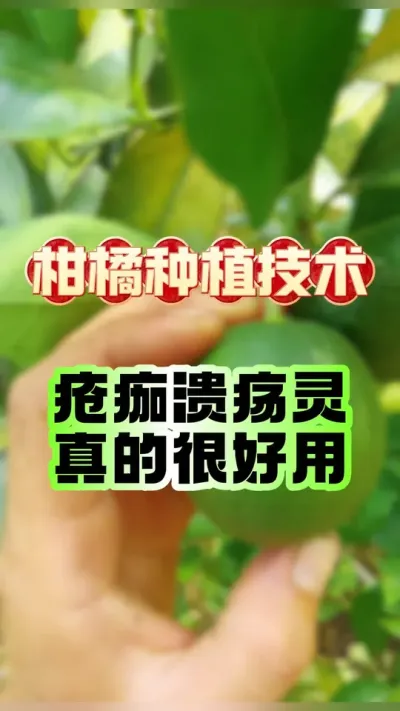 ĺã#ݪֲ #԰ #ũҵݪֲ #ũ #