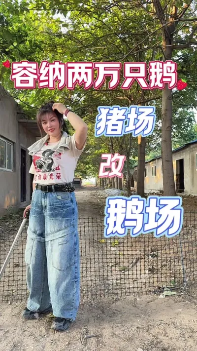 ֻ졫Ķ쳡###ũ崴ҵֳ